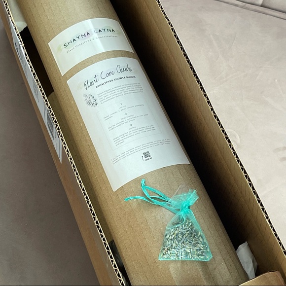 2x Eucalyptus Bundle - Picture 5 of 6